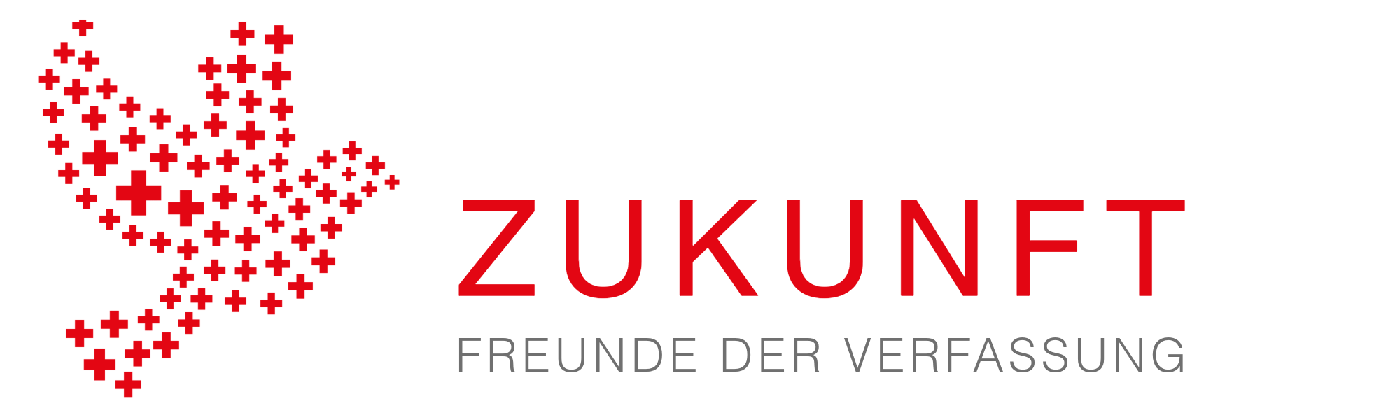 Zukunft Freunde der Verfassung